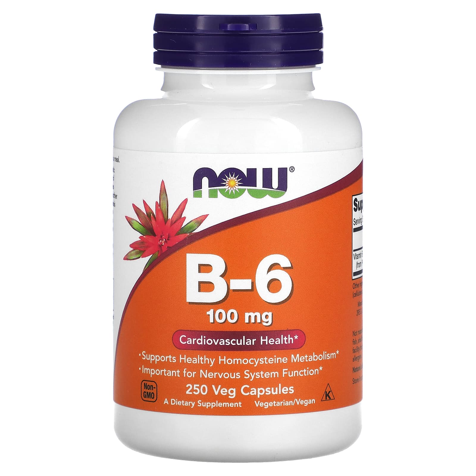 Вітамін В6 Now Foods Vitamin B-6 100 мг, 250 вегетаріанських капсул (NOW-00458)