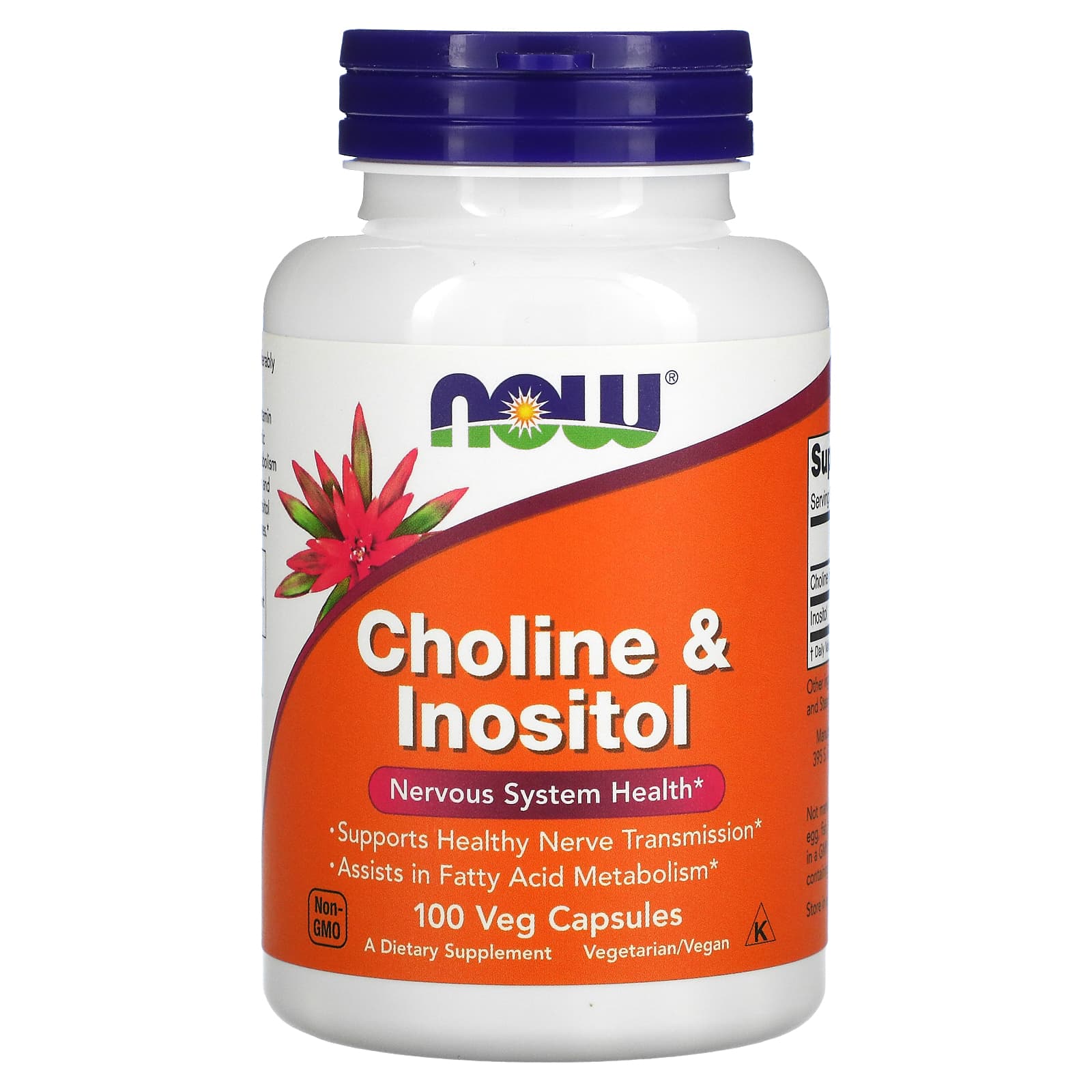 Холін і інозитол Now Foods Choline Inositol 500 мг, 100 вегетаріанських капсул (NOW-00470)