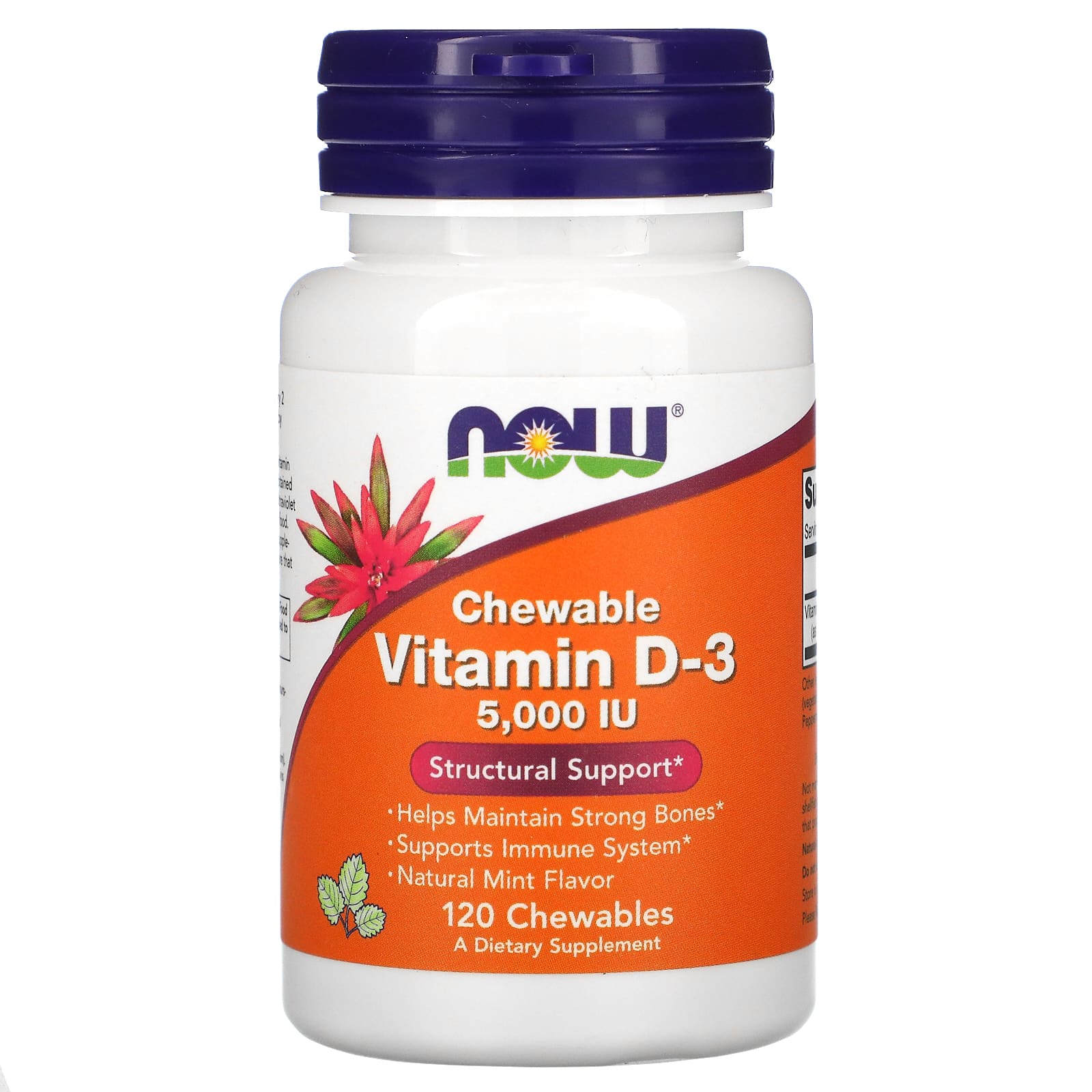 Вітамін Д-3 Now Foods Vitamin D-3 смак м'яти 5000 МО, 120 жувальних таблеток (NOW-00358)