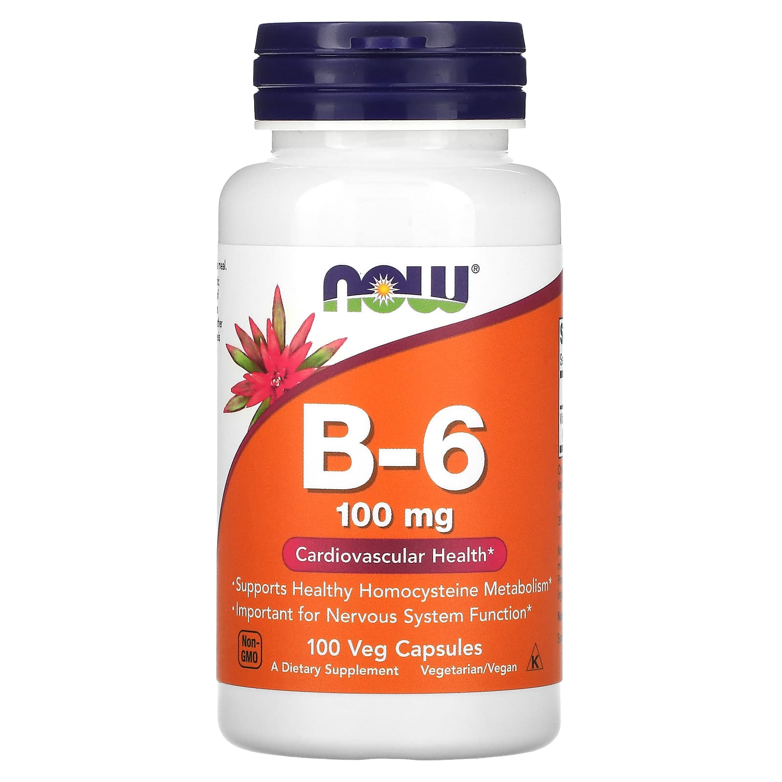 Вітамін В6 Now Foods Vitamin B-6 100 мг, 100 капсул (NOW-00456)