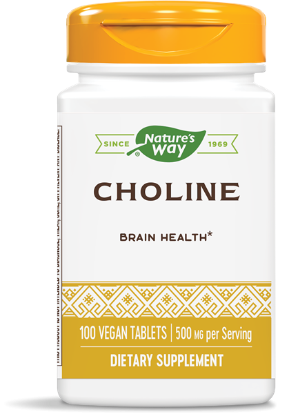 Холін Nature's Way Choline 500 мг, 100 таблеток (NWY-40460)