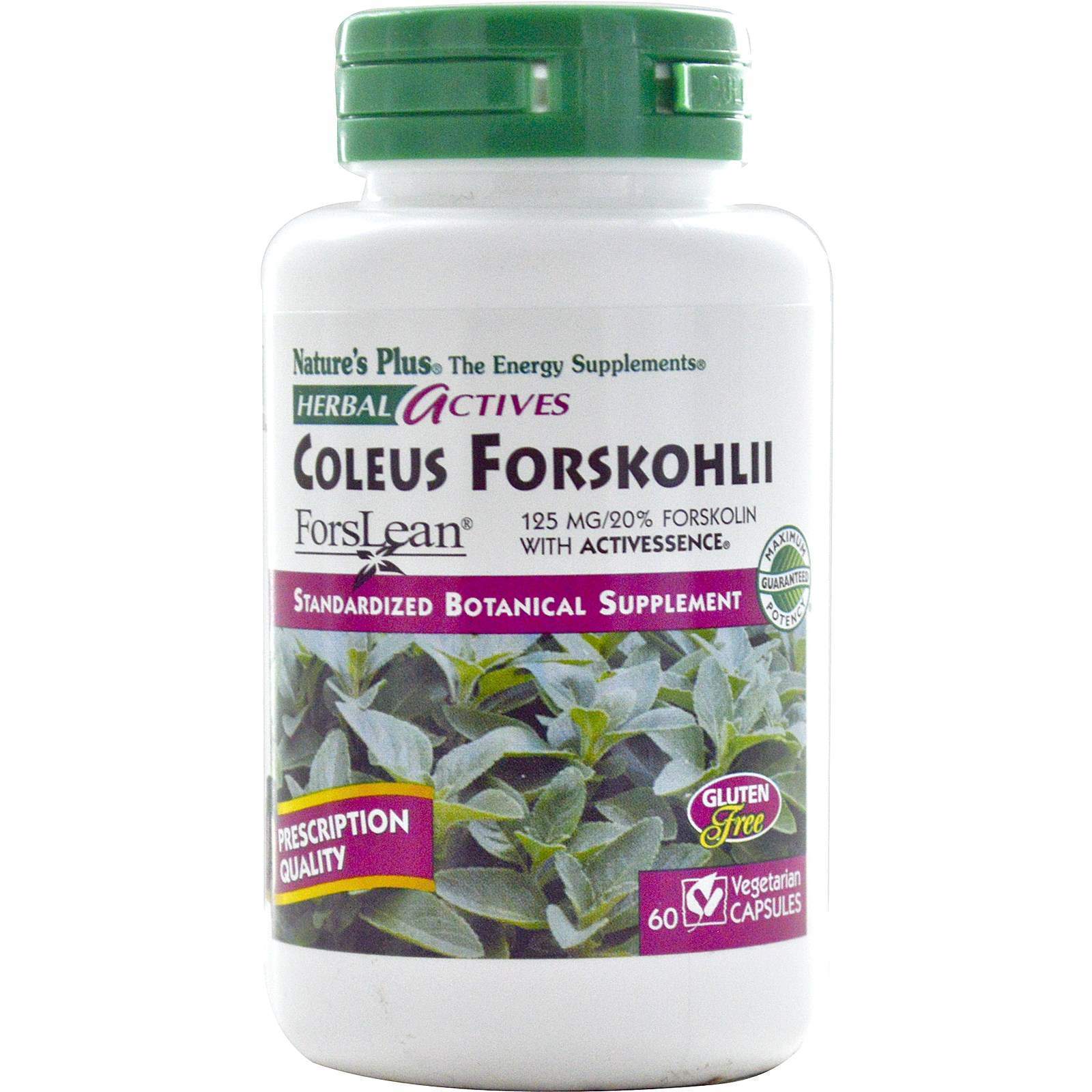 Форсколін Nature's Plus Coleus Forskohlii Herbal Actives 125 мг, 60 капсул (NAP-07170)