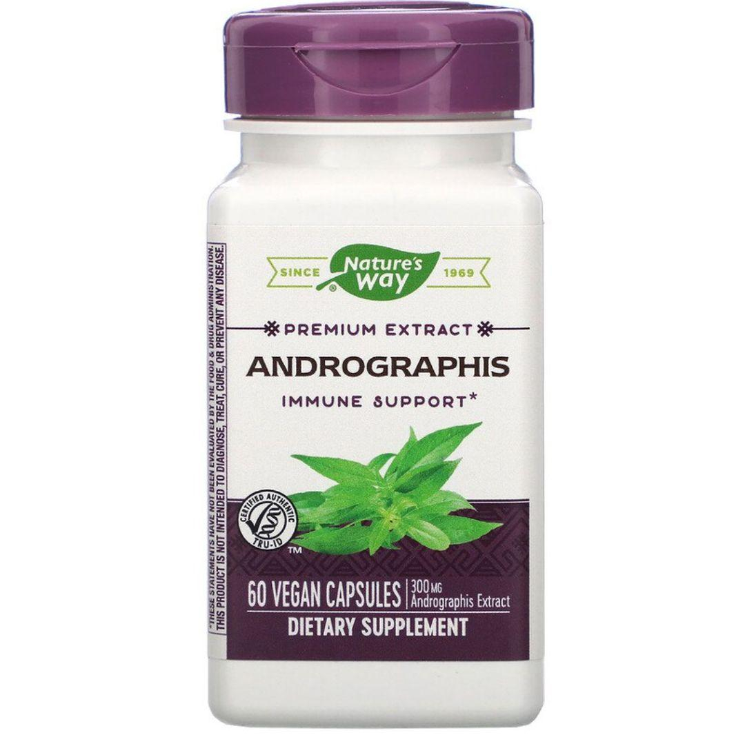 Андрографіс Nature's Way Andrographis 300 мг, 60 капсул (NWY-15381)