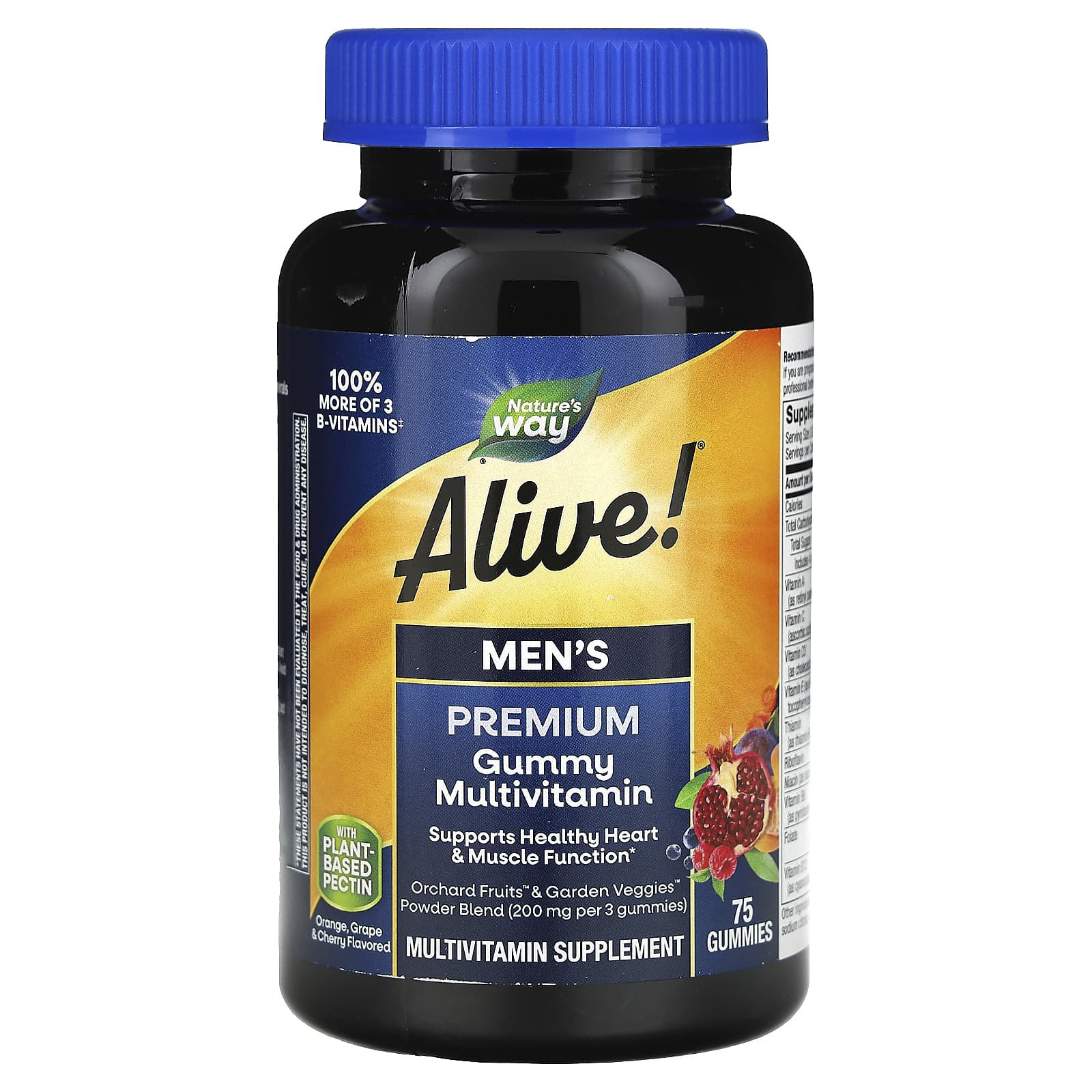 Вітаміни для чоловіків Nature's Way Alive! Men's Gummy Vitamins, 75 жувальних таблеток (NWY-15895)